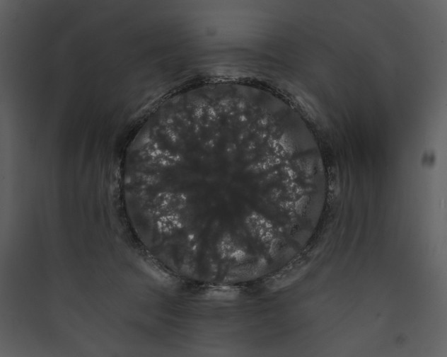 X0000089760369200707121408