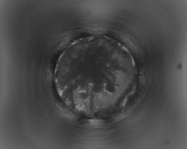 X0000089760371200707121408