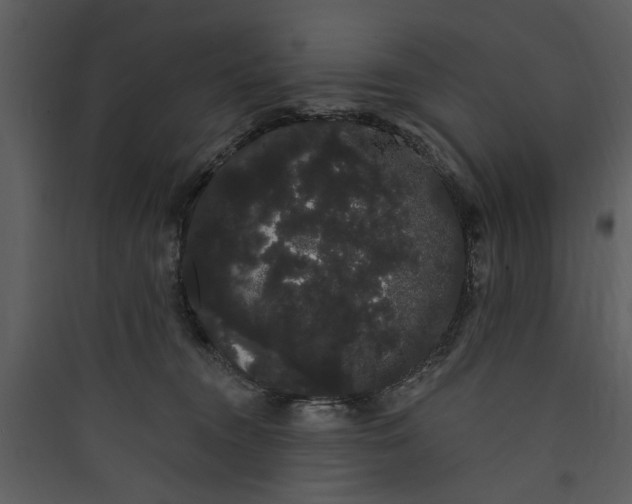 X0000089760372200707121408