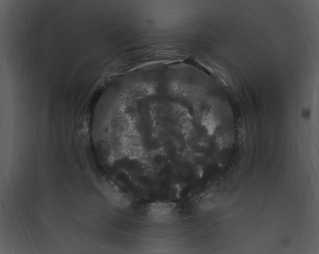 X0000089760373200707121408