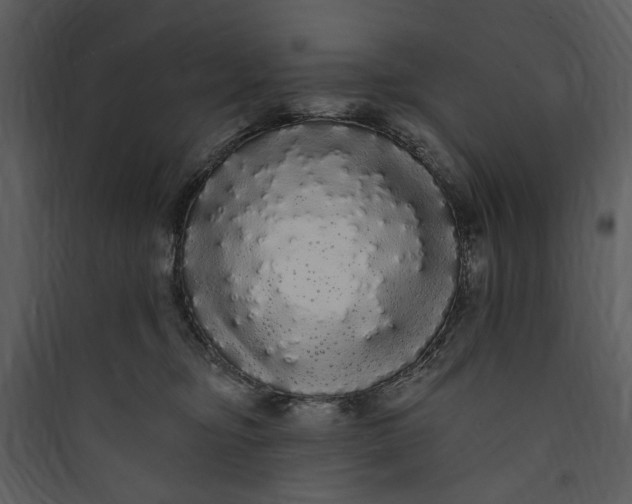 X0000089760374200707121408