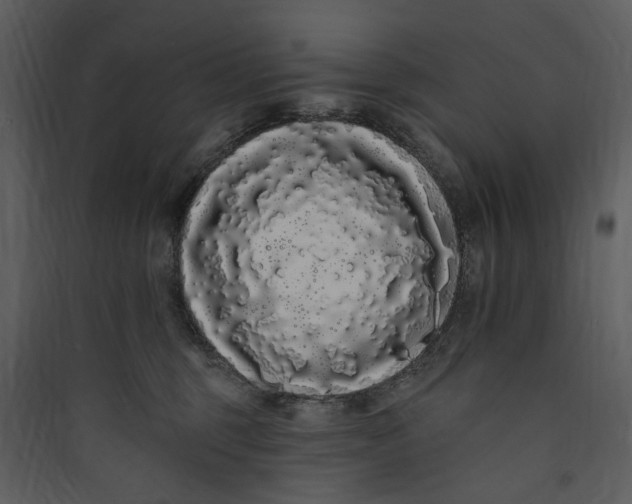 X0000089760375200707121408