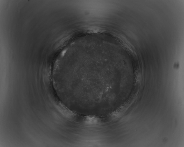 X0000089760376200707121408
