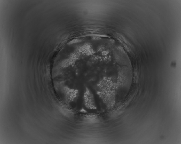 X0000089760377200707121408
