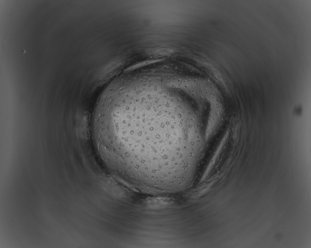 X0000089760378200707121408
