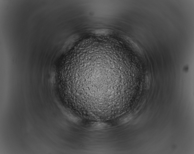 X0000089760379200707121408