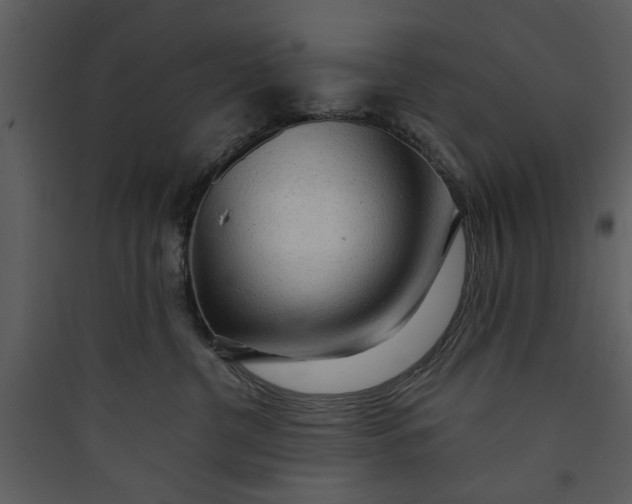 X0000089760380200707121408
