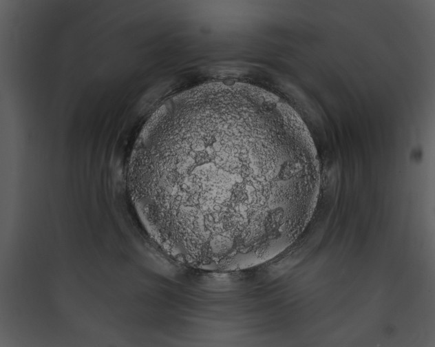 X0000089760381200707121408