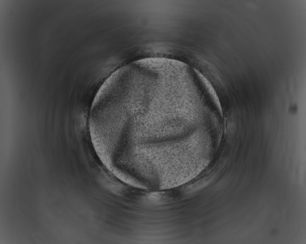 X0000089760382200707121408