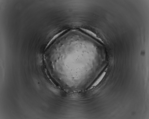 X0000089760383200707121408