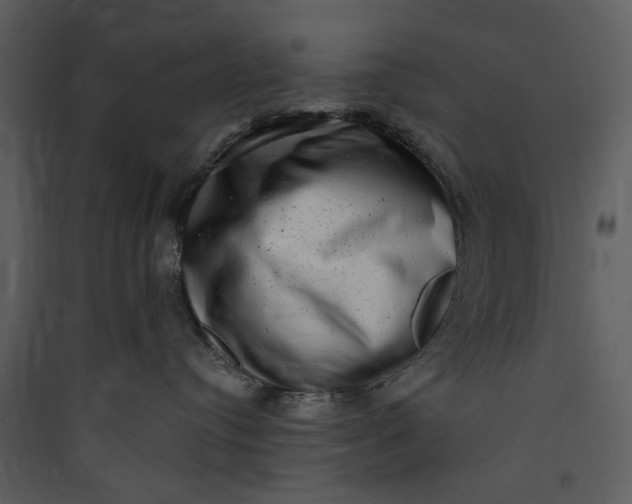 X0000089760384200707121408