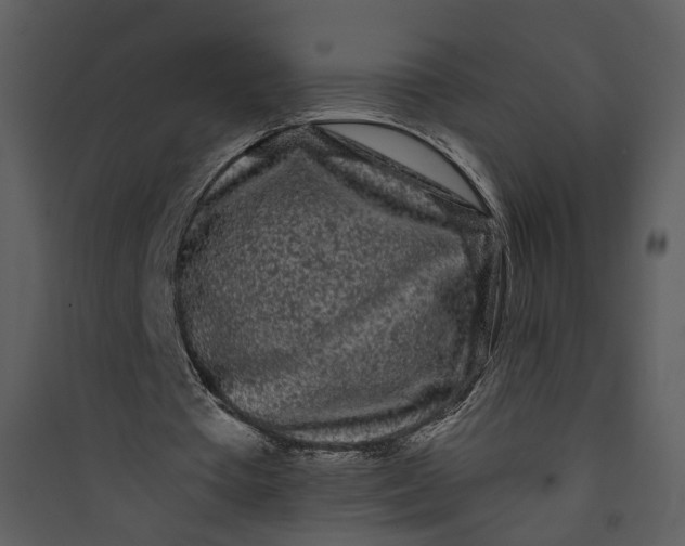 X0000089760385200707121408