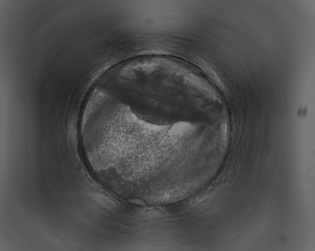 X0000089760386200707121408