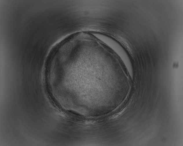 X0000089760388200707121408