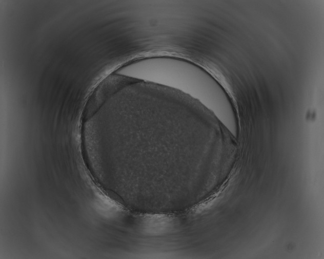 X0000089760389200707121408