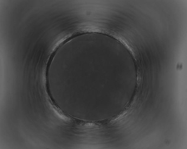 X0000089760390200707121408
