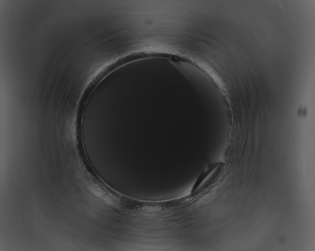 X0000089760391200707121408