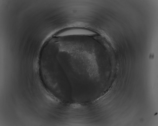X0000089760392200707121408