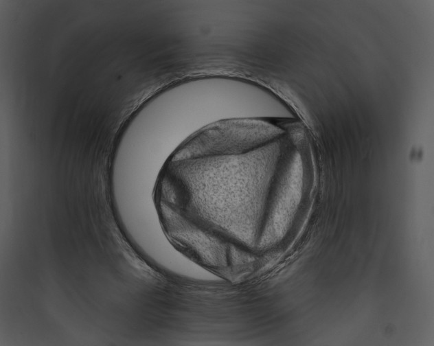 X0000089760393200707121408