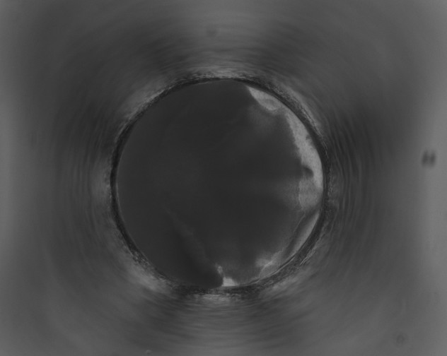 X0000089760394200707121408