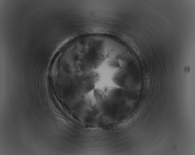 X0000089760395200707121408