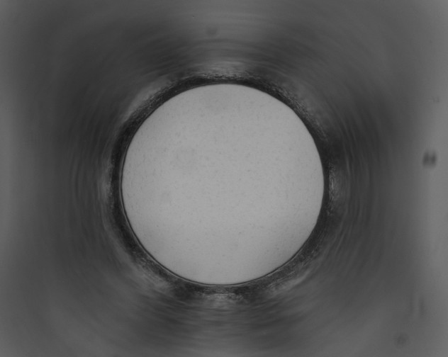 X0000089760396200707121408
