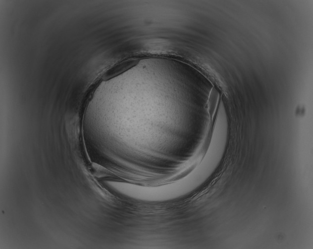 X0000089760397200707121408