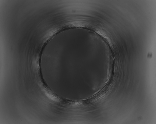 X0000089760398200707121408