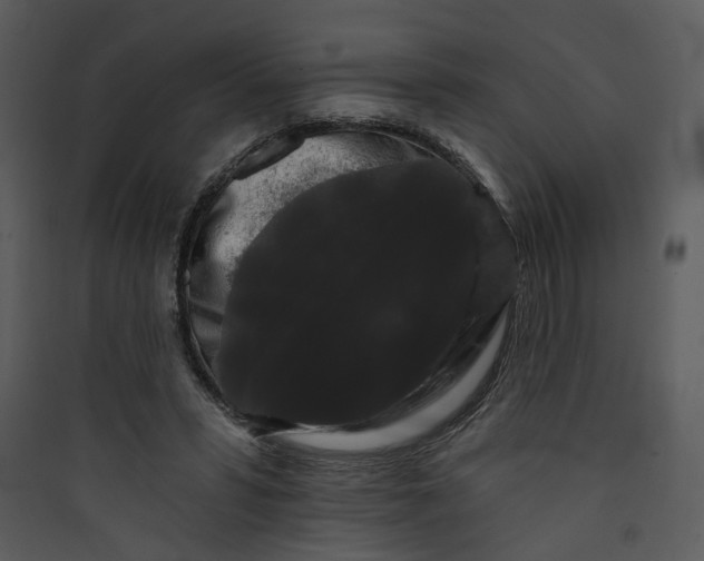 X0000089760399200707121408