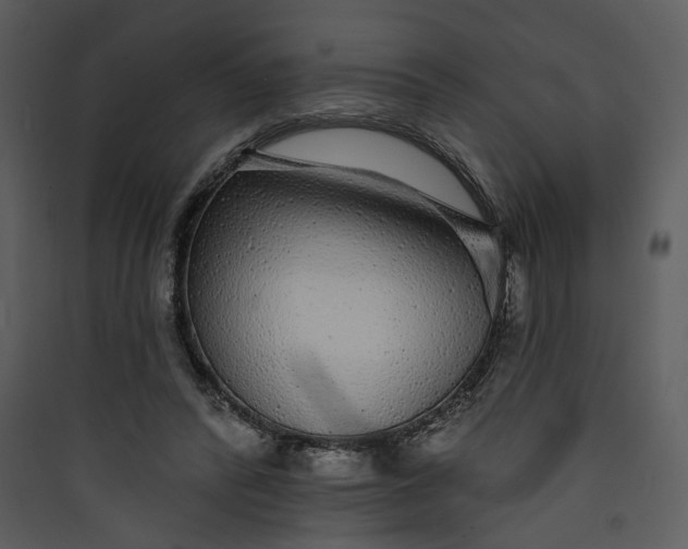 X0000089760400200707121408