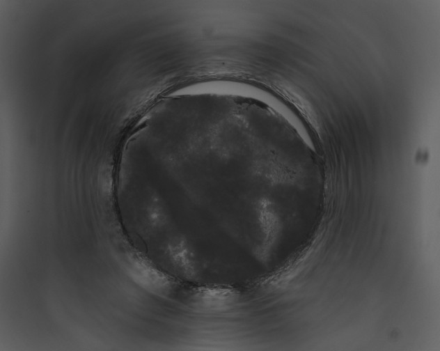 X0000089760401200707121408