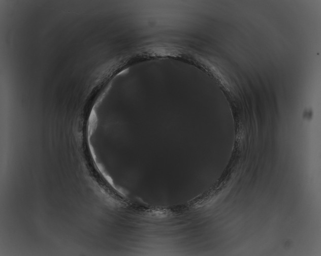 X0000089760402200707121408