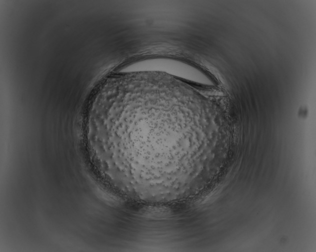 X0000089760403200707121408
