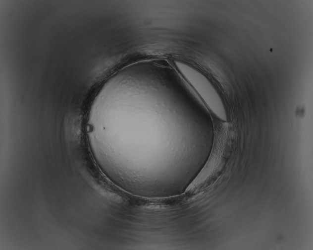 X0000089760404200707121408