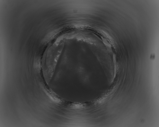X0000089760405200707121408