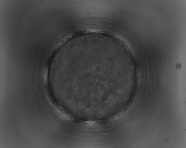 X0000089760406200707121408