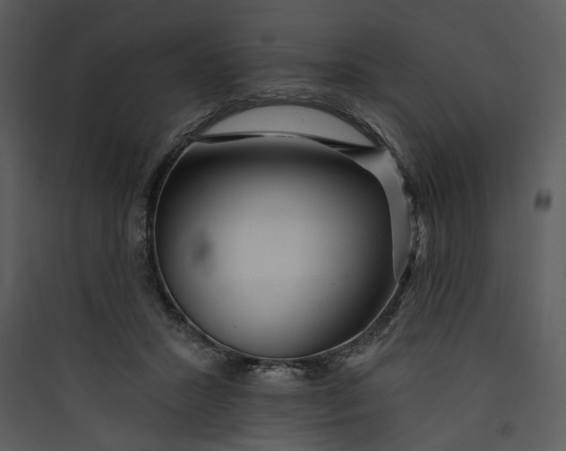 X0000089760407200707121407