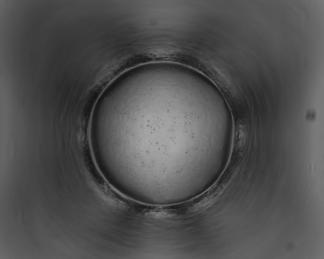 X0000089760408200707121407