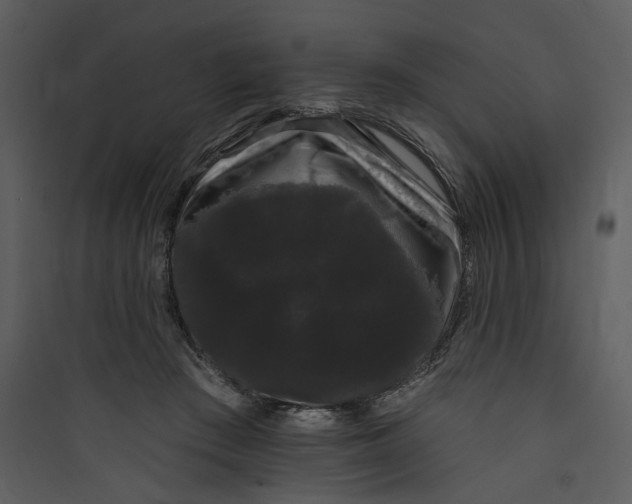 X0000089760409200707121407