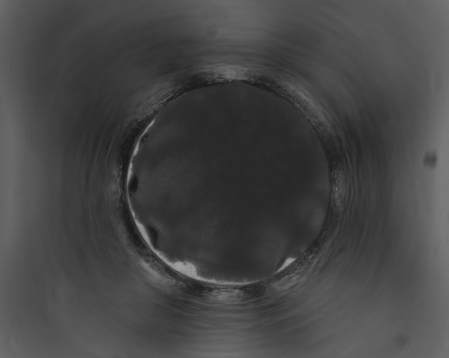 X0000089760410200707121407