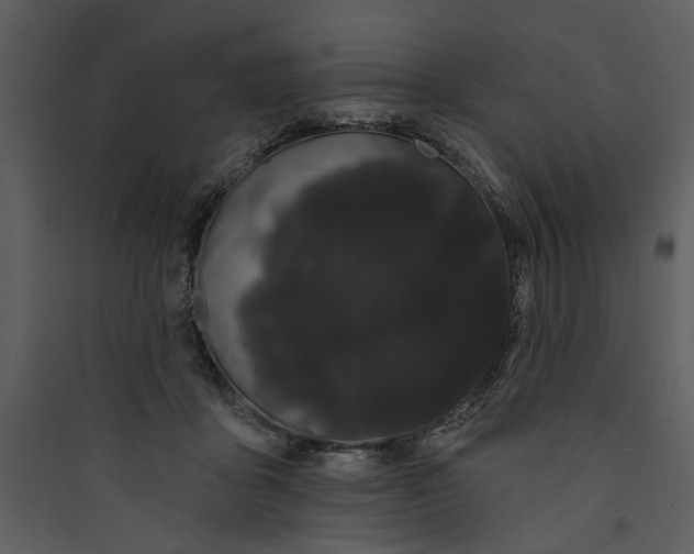 X0000089760411200707121407