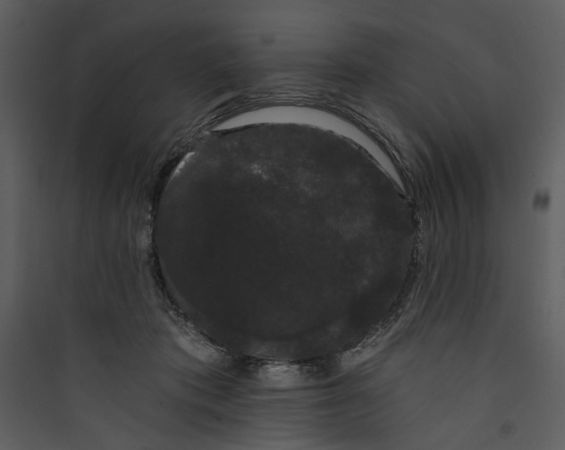 X0000089760413200707121407