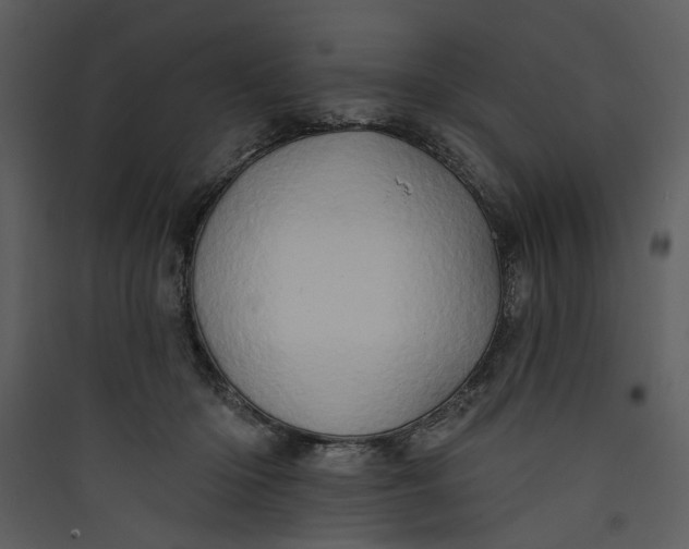 X0000089760414200707121407