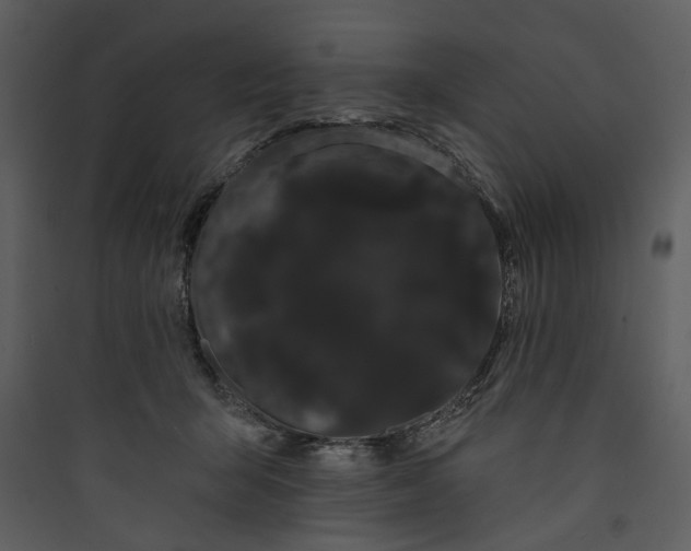 X0000089760415200707121407