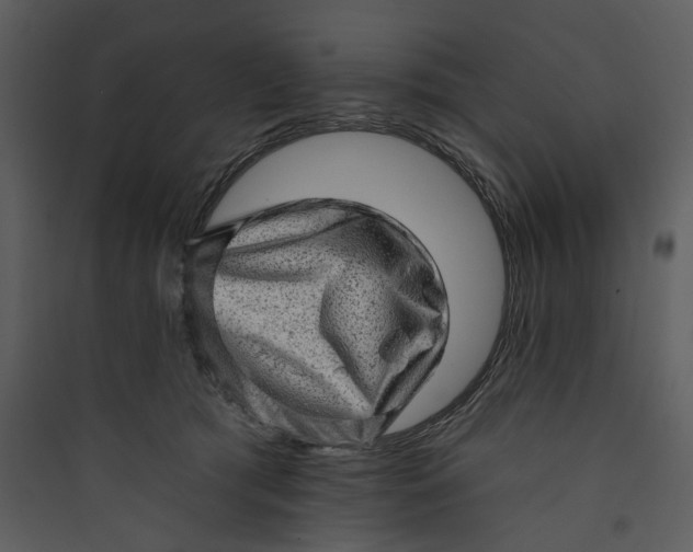 X0000089760417200707121407