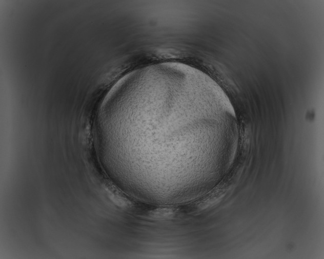 X0000089760418200707121407