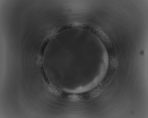 X0000089760419200707121407