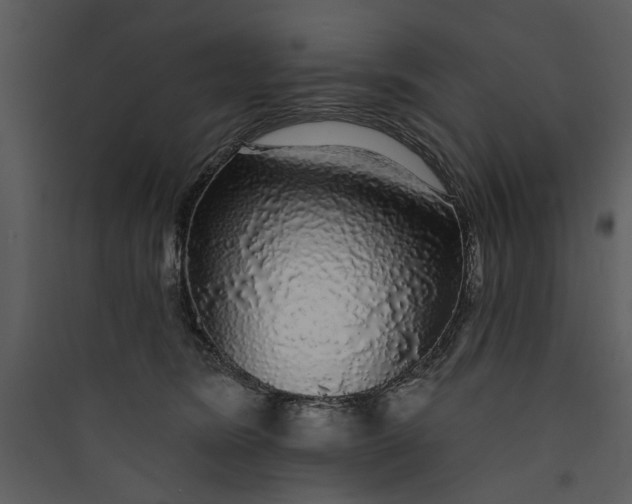 X0000089760420200707121407