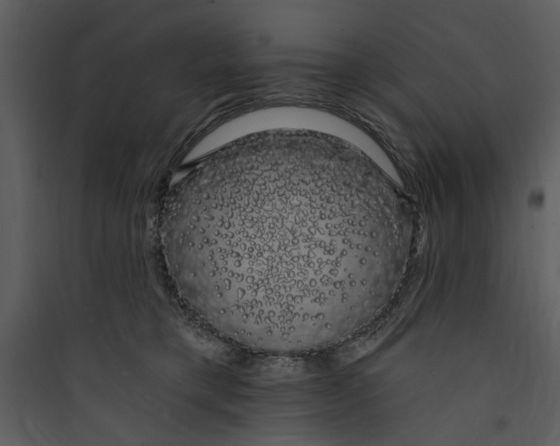 X0000089760421200707121407