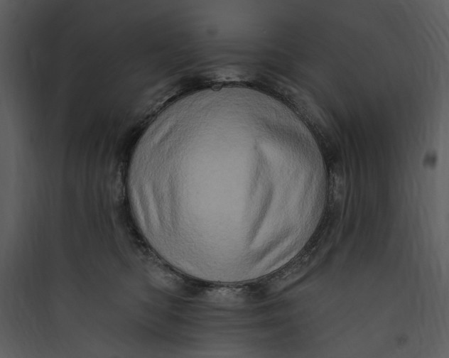 X0000089760422200707121407